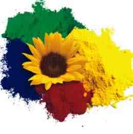 Organic Pigment for Plastics